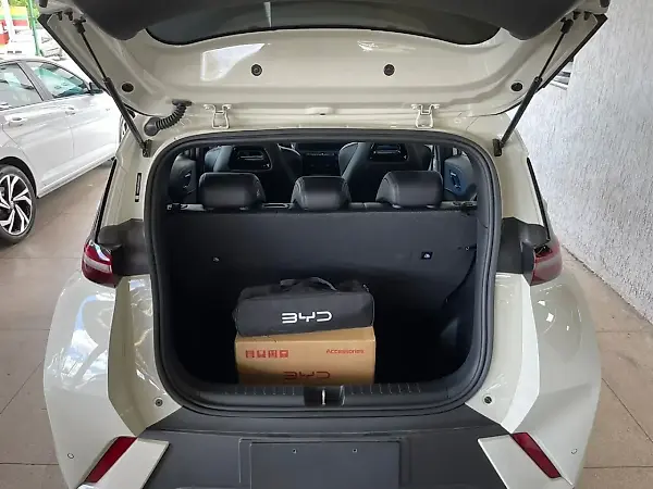 BYD Dolphin Mini - Imagem 13