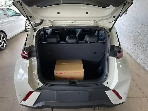 BYD Dolphin Mini - Imagem 12