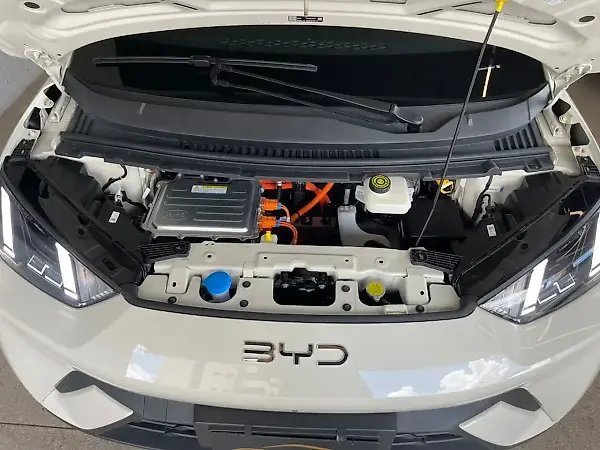 BYD Dolphin Mini - Imagem 16