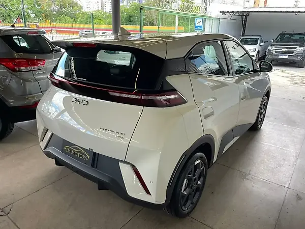 BYD Dolphin Mini - Imagem 17