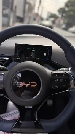 BYD Dolphin Mini - Imagem 12