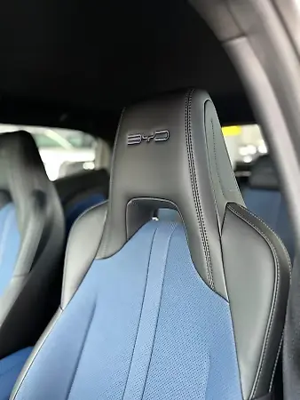 BYD Dolphin Mini - Imagem 8