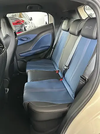 BYD Dolphin Mini - Imagem 11