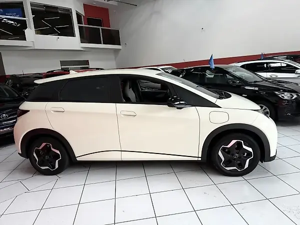 BYD Dolphin - Imagem 8