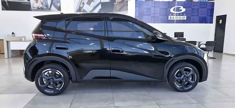 BYD Dolphin Mini - Imagem 8