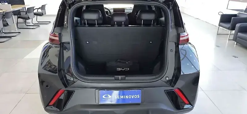 BYD Dolphin Mini - Imagem 10