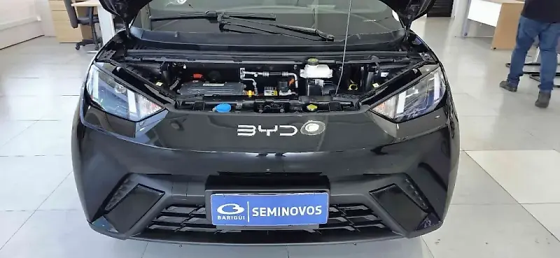 BYD Dolphin Mini - Imagem 9