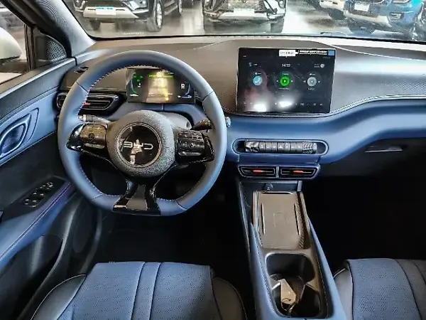 BYD Dolphin Mini - Imagem 11