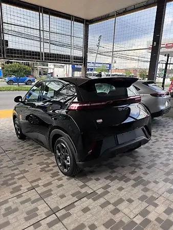 BYD Dolphin Mini - Imagem 11
