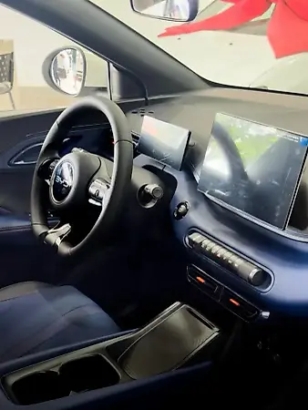 BYD Dolphin Mini - Imagem 13