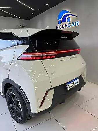 BYD Dolphin Mini - Imagem 16