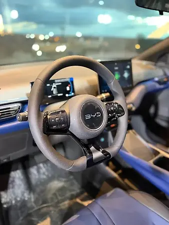 BYD Dolphin Mini - Imagem 11