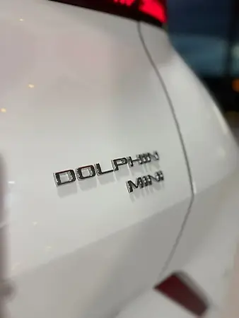 BYD Dolphin Mini - Imagem 10