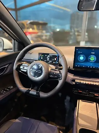 BYD Dolphin Mini - Imagem 12