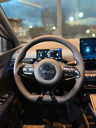 BYD Dolphin Mini - Imagem 15