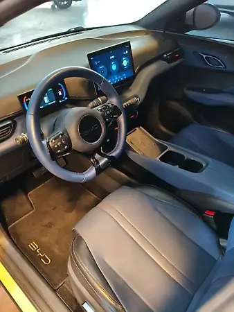 BYD Dolphin Mini - Imagem 4