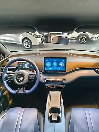 BYD Dolphin Mini - Imagem 9