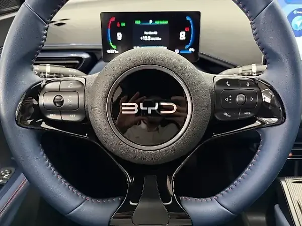 BYD Dolphin Mini - Imagem 13