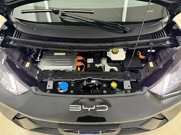 BYD Dolphin Mini - Imagem 16
