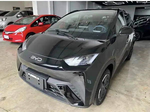 BYD Dolphin - Imagem 1