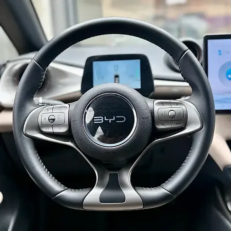 BYD Dolphin - Imagem 11