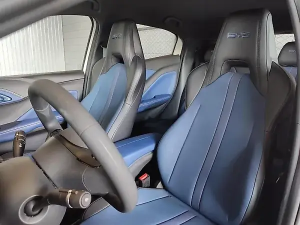 BYD Dolphin Mini - Imagem 6