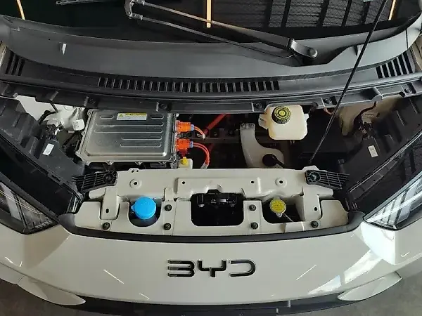 BYD Dolphin Mini - Imagem 11