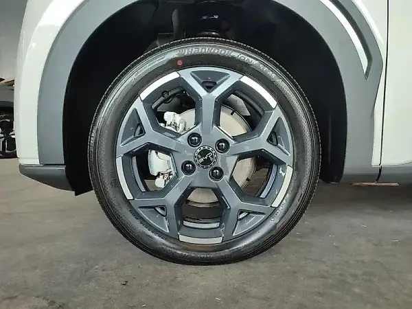 BYD Dolphin Mini - Imagem 15