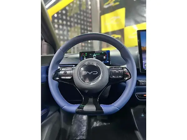 BYD Dolphin - Imagem 11