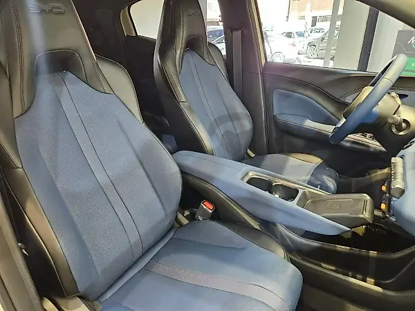 BYD Dolphin Mini - Imagem 18