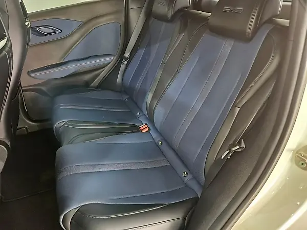 BYD Dolphin Mini - Imagem 11