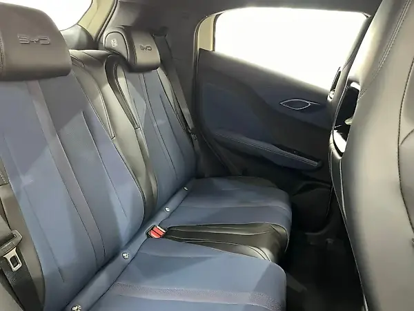 BYD Dolphin Mini - Imagem 14