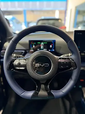 BYD Dolphin Mini - Imagem 4