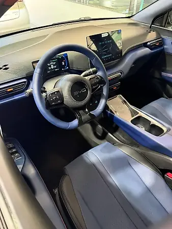 BYD Dolphin Mini - Imagem 8