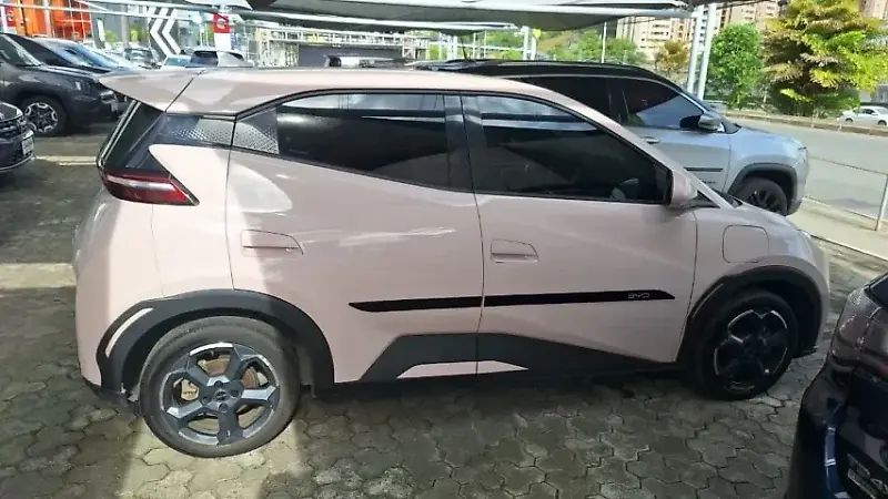 BYD Dolphin Mini - Imagem 10