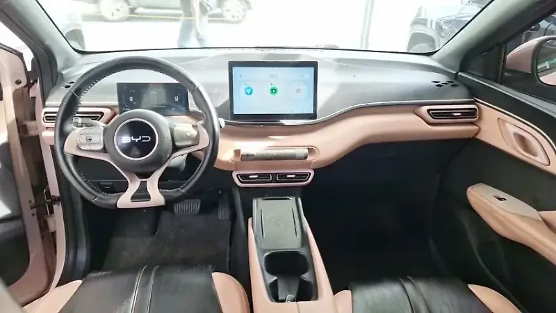 BYD Dolphin Mini - Imagem 9