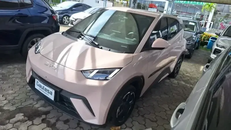 BYD Dolphin Mini - Imagem 14