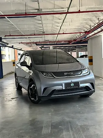 BYD Dolphin - Imagem 1