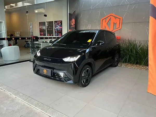 BYD Dolphin Mini - Imagem 2