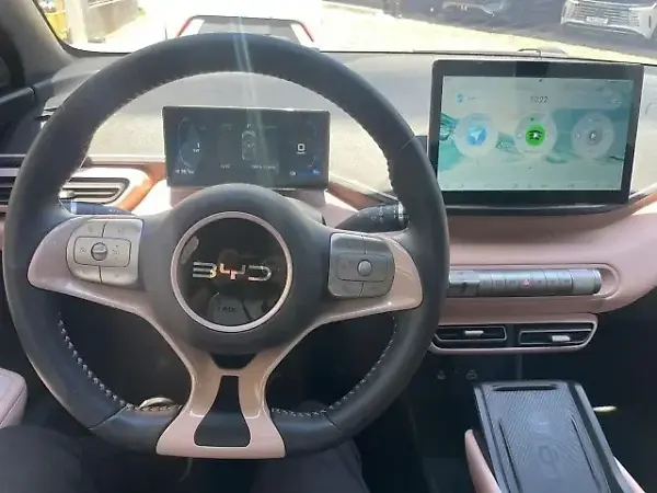 BYD Dolphin Mini - Imagem 12