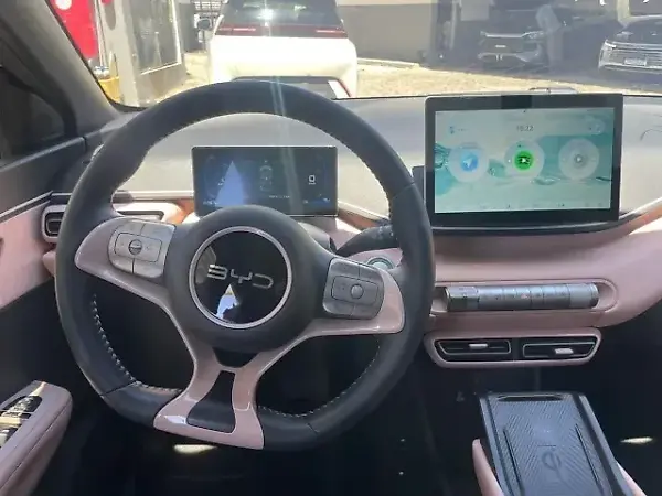 BYD Dolphin Mini - Imagem 11