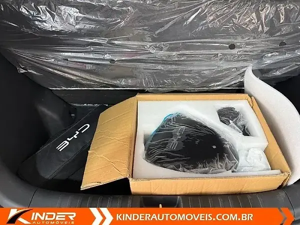 BYD Dolphin Mini - Imagem 12