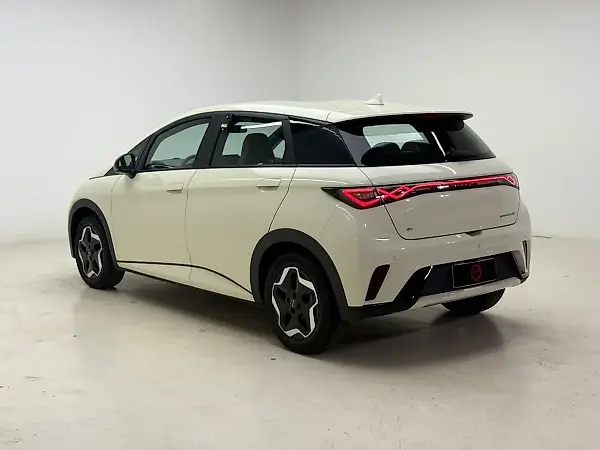 BYD Dolphin - Imagem 17