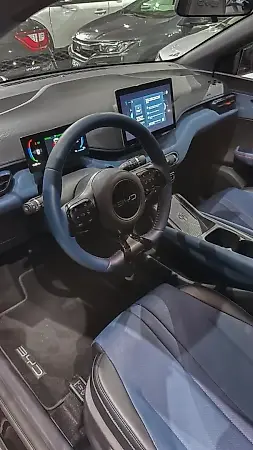 BYD Dolphin Mini - Imagem 11