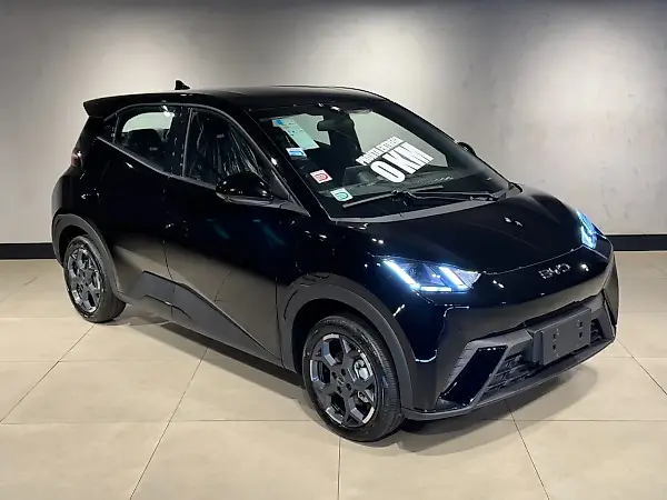 BYD Dolphin Mini - Imagem 1