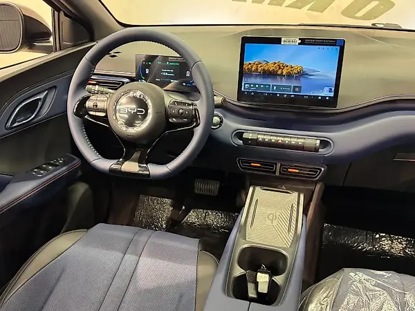 BYD Dolphin Mini - Imagem 8