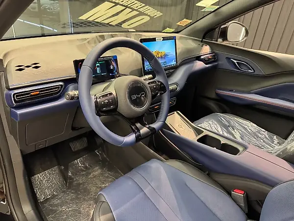 BYD Dolphin Mini - Imagem 13