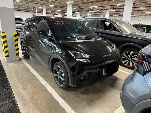 BYD Dolphin Mini - Imagem 2