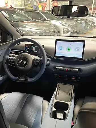 BYD Dolphin Mini - Imagem 10