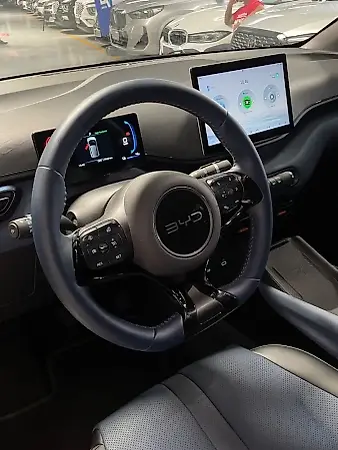 BYD Dolphin Mini - Imagem 13